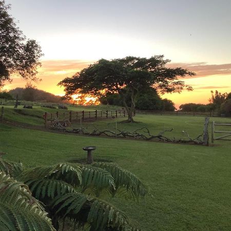 Kohala Lodge- Vacation Rental House Hawi Eksteriør billede