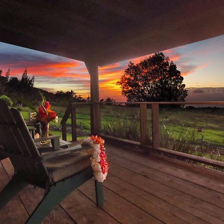 Kohala Lodge- Vacation Rental House Hawi Eksteriør billede