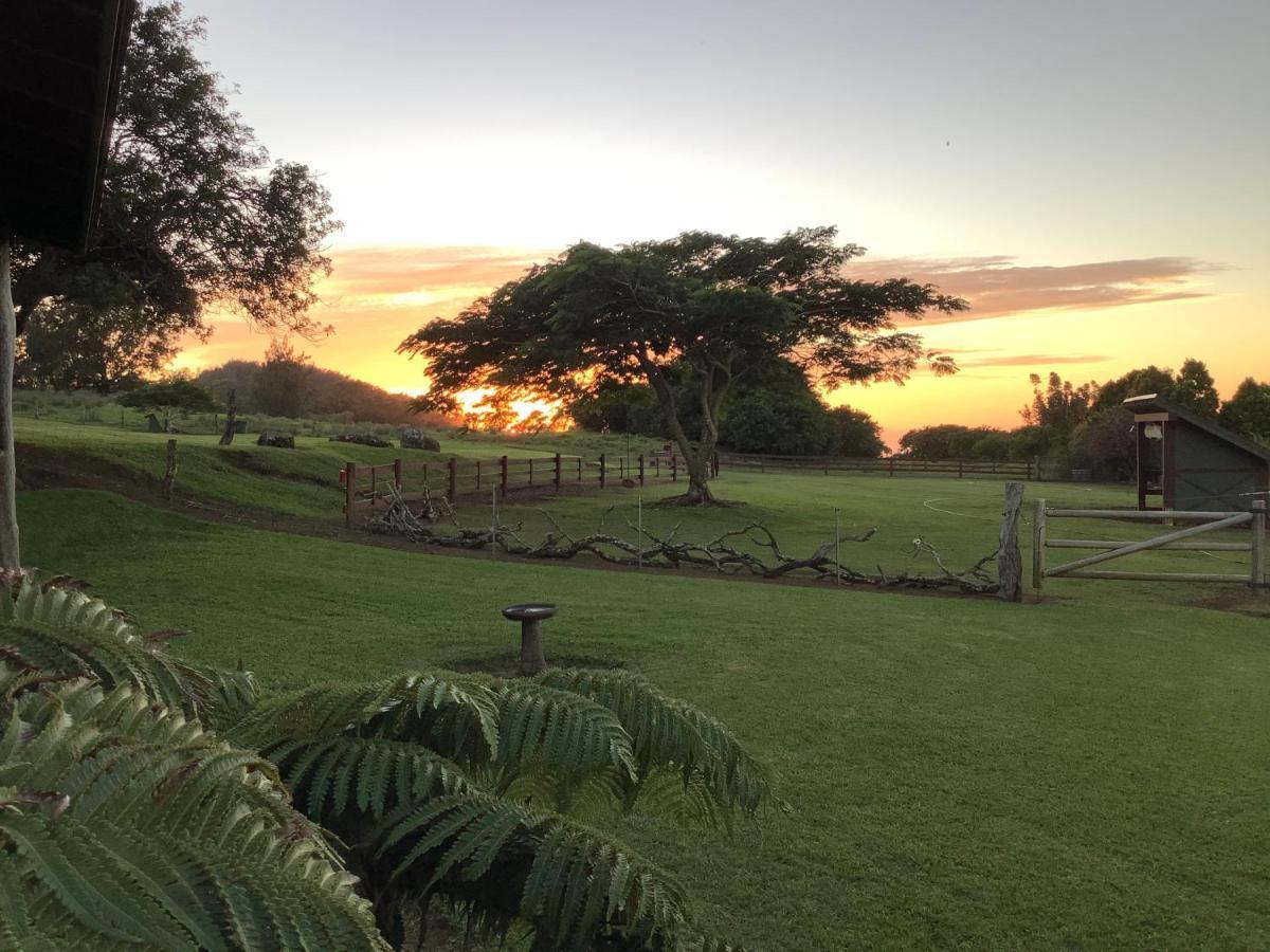 Kohala Lodge- Vacation Rental House Hawi Eksteriør billede