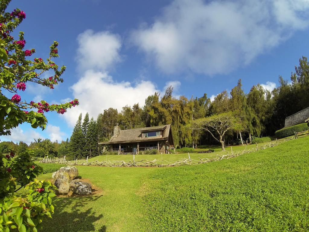 Kohala Lodge- Vacation Rental House Hawi Eksteriør billede