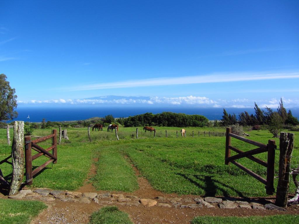 Kohala Lodge- Vacation Rental House Hawi Eksteriør billede