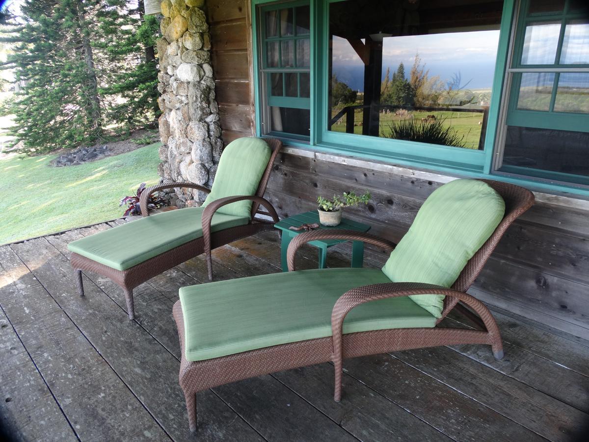 Kohala Lodge- Vacation Rental House Hawi Eksteriør billede