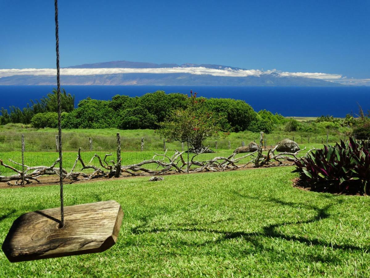 Kohala Lodge- Vacation Rental House Hawi Eksteriør billede
