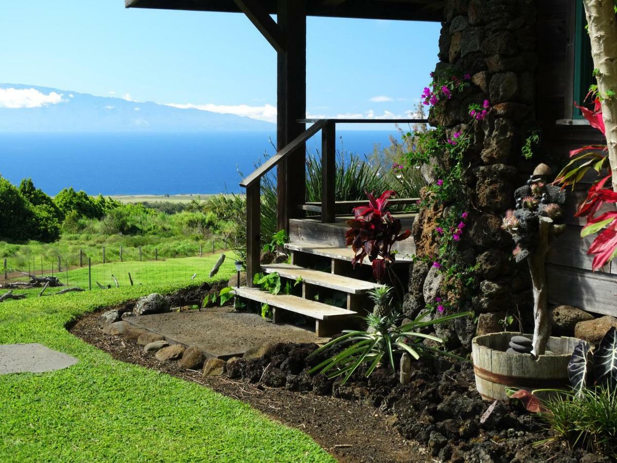 Kohala Lodge- Vacation Rental House Hawi Eksteriør billede